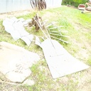 IMG_20260422_102748029.jpg