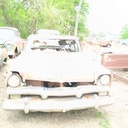 IMG_20260422_101818432.jpg