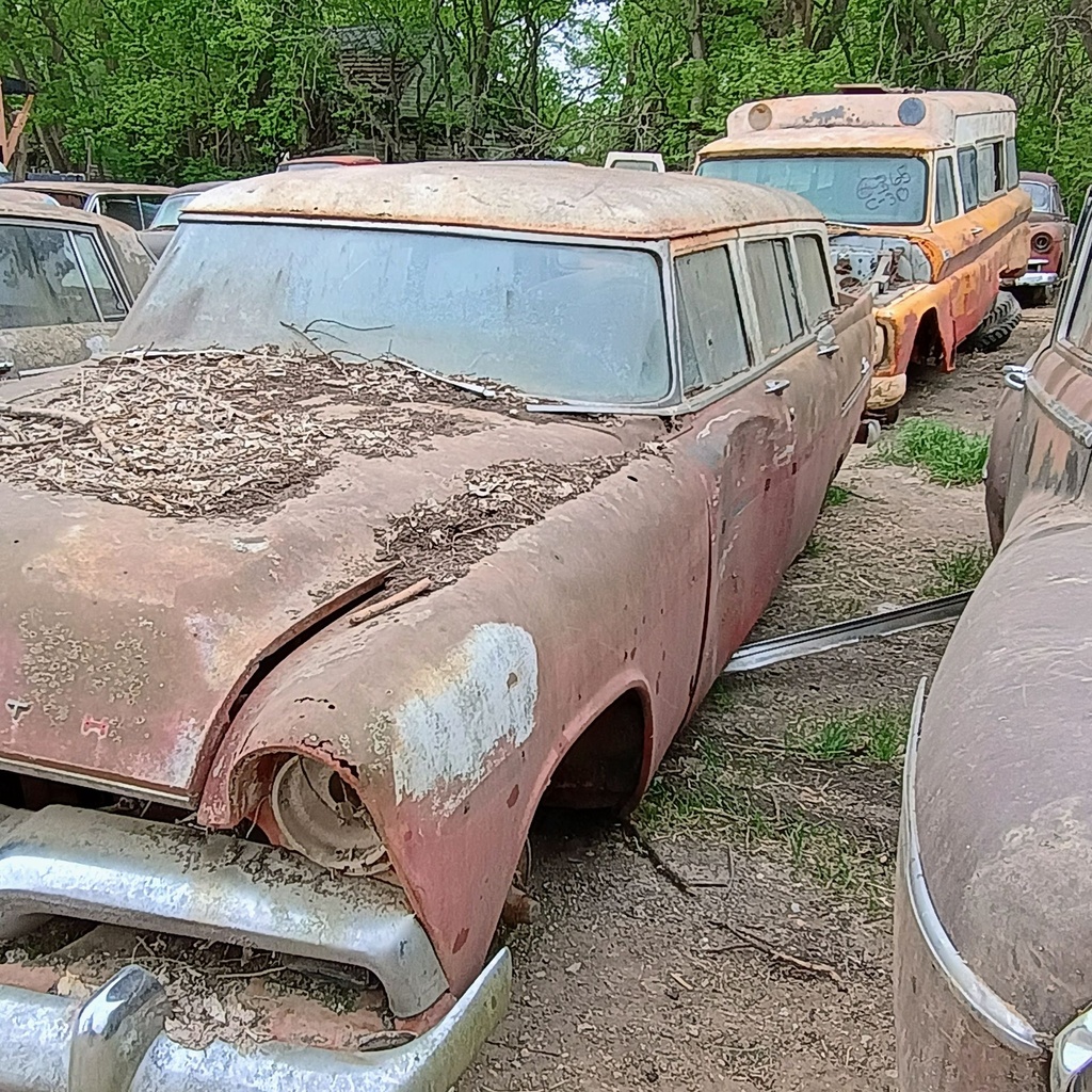 IMG_20260422_101505267_HDR_AE.jpg