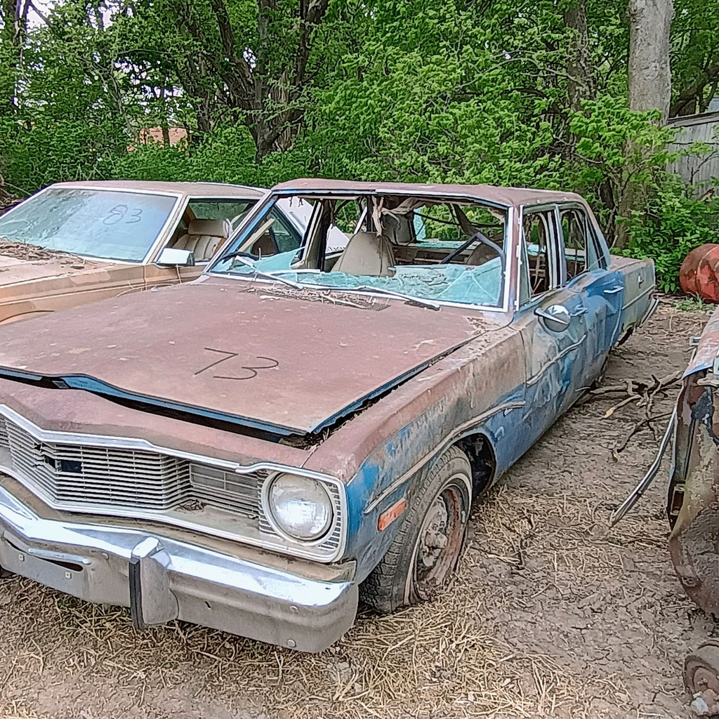 IMG_20260422_100656853_HDR_AE.jpg