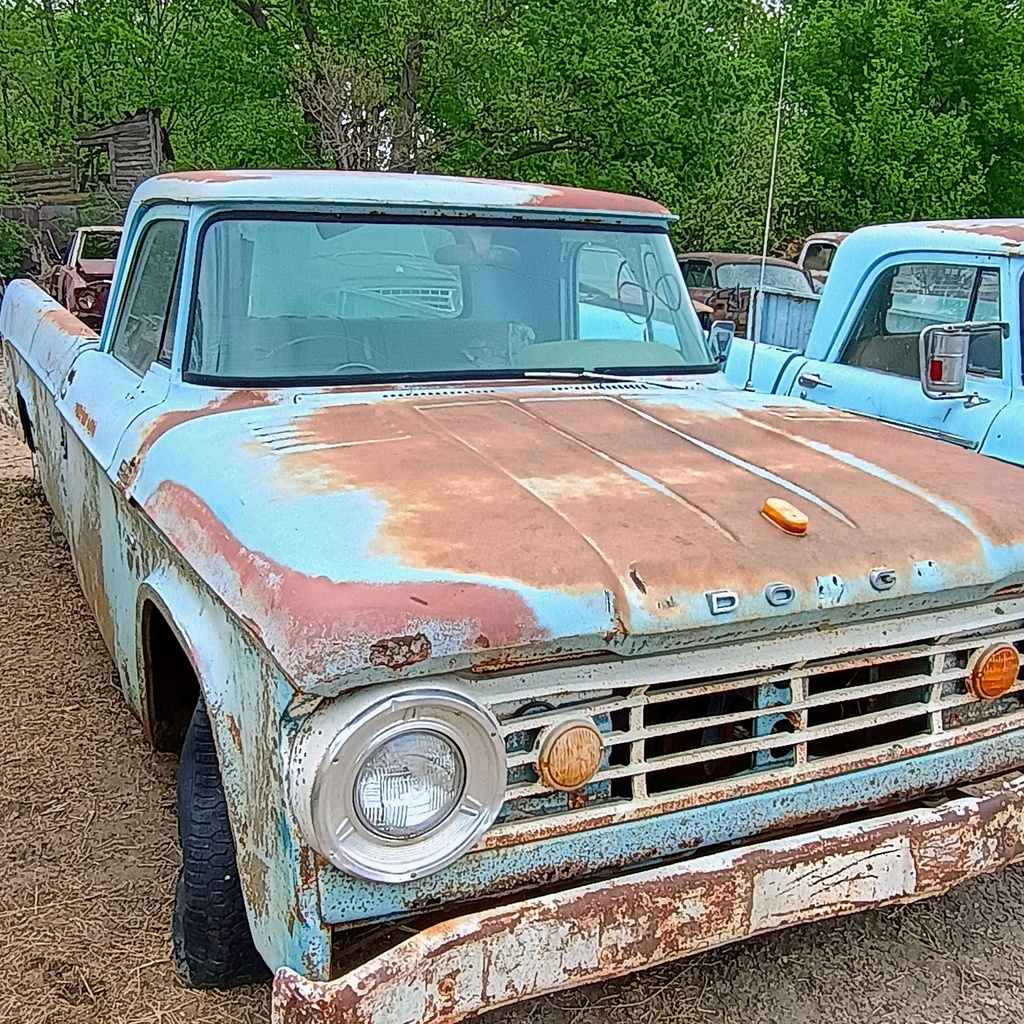 IMG_20260422_100151013_HDR_AE.jpg