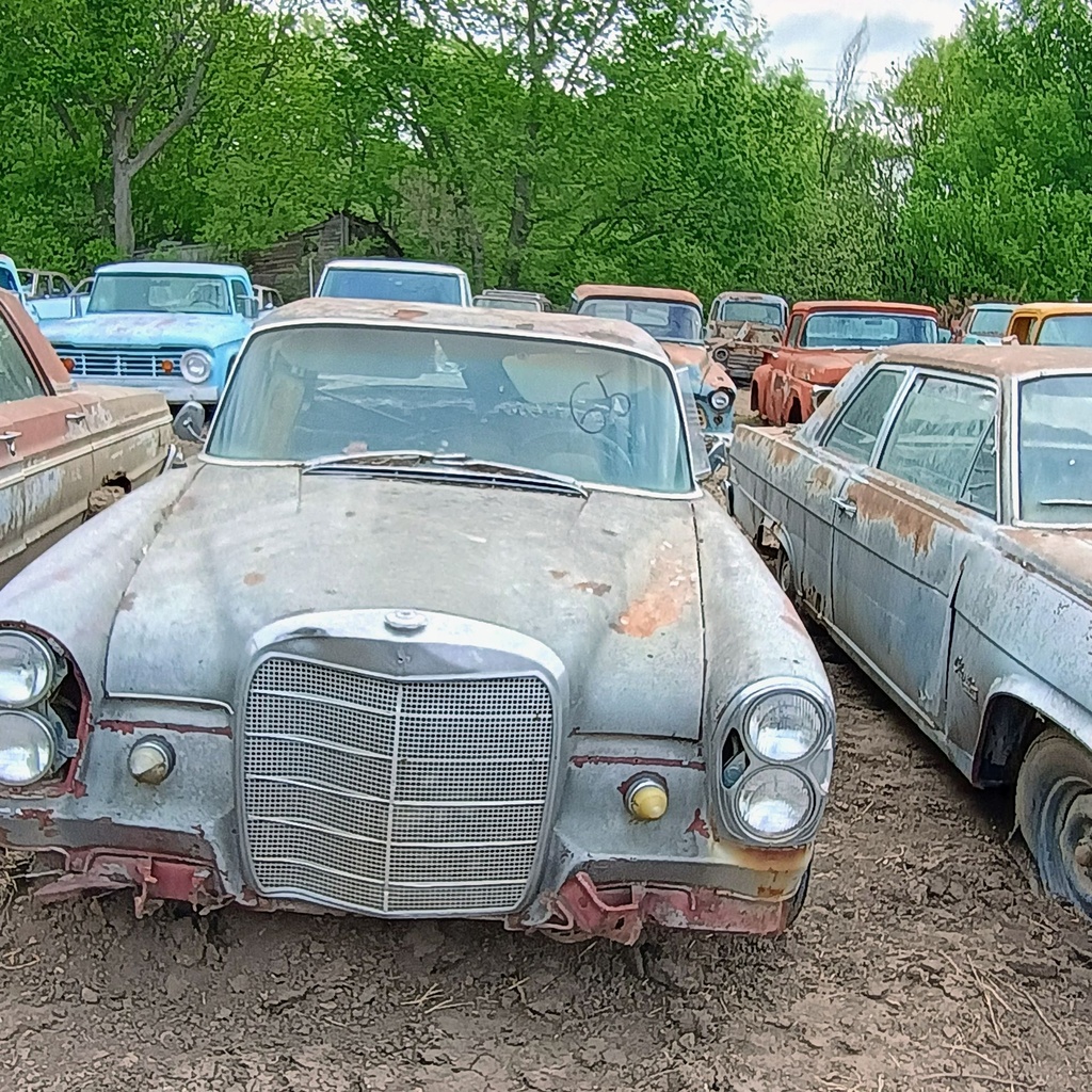 IMG_20260422_095631786_HDR_AE.jpg