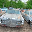 IMG_20260422_095631786_HDR_AE.jpg