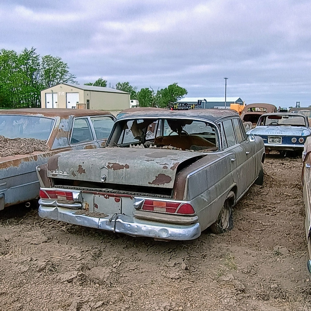 IMG_20260422_095616149_HDR_AE.jpg
