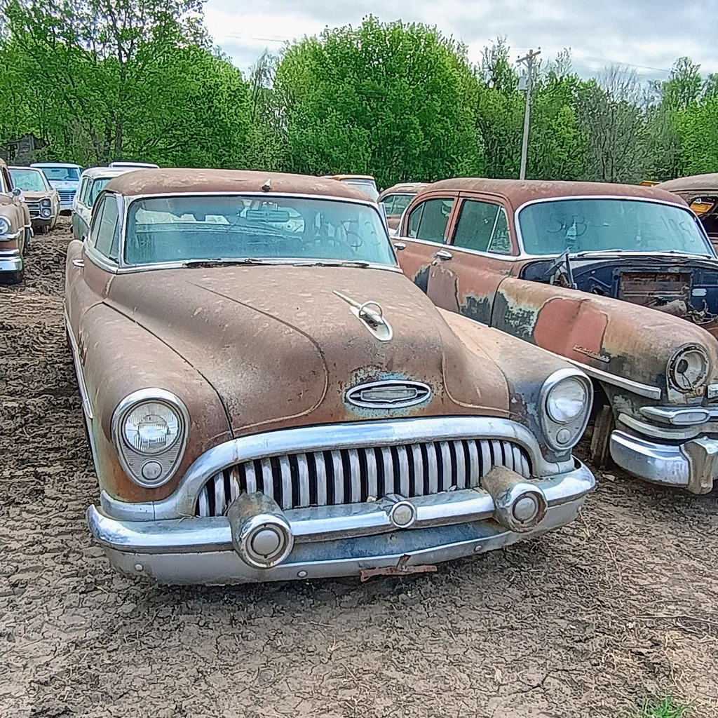 IMG_20260422_094600375_HDR_AE.jpg