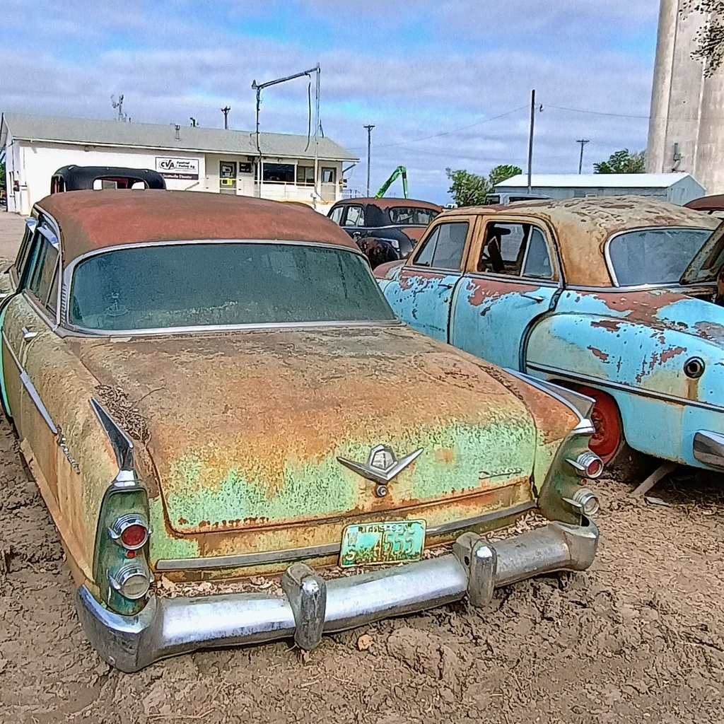 IMG_20260422_094539371_HDR_AE.jpg