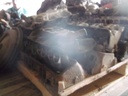 DSCF9014.JPG