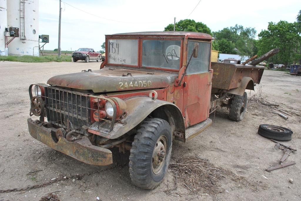 DSC_7984.JPG