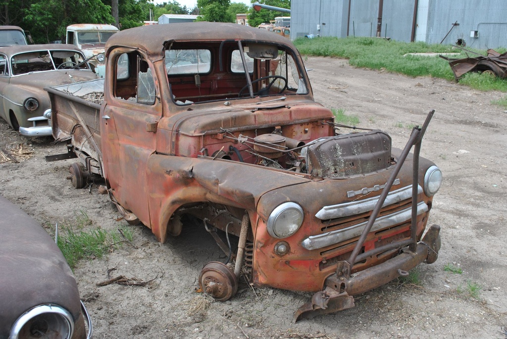 DSC_7982.JPG