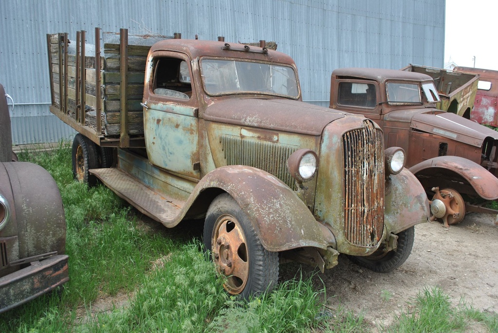 DSC_7998.JPG