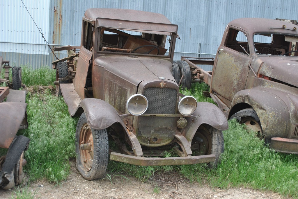 DSC_7996.JPG