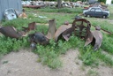 DSC_8019.JPG