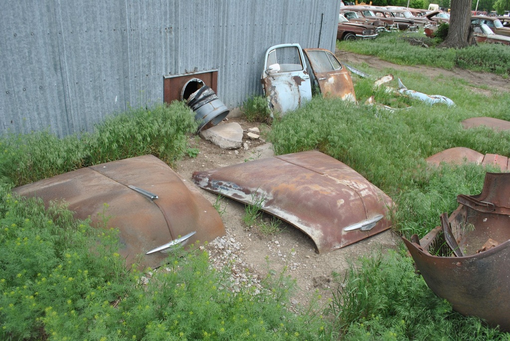 DSC_8018.JPG