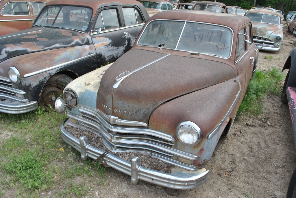 DSC_8035.JPG
