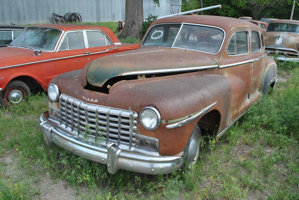 DSC_8033.JPG