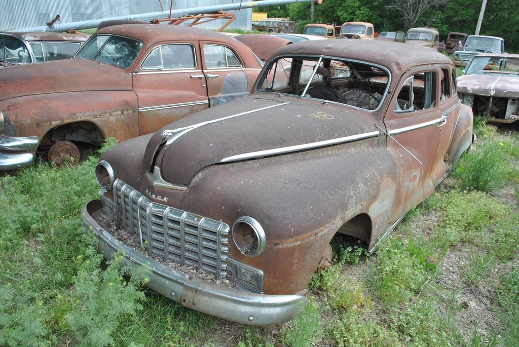 DSC_8051.JPG
