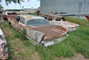 DSC_8081.JPG