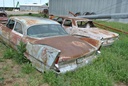 DSC_8080.JPG