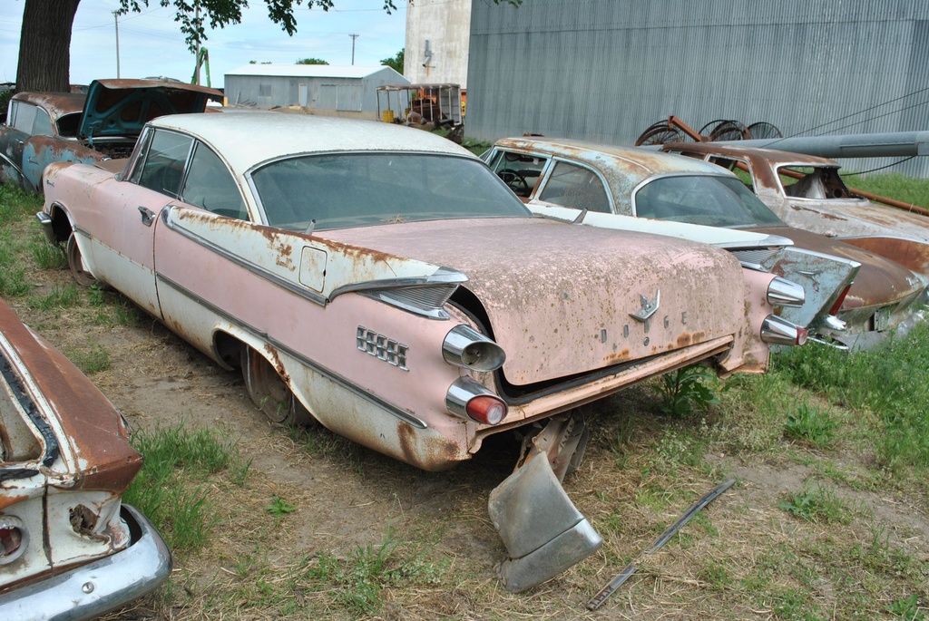 DSC_8079.JPG