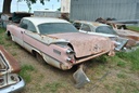 DSC_8079.JPG