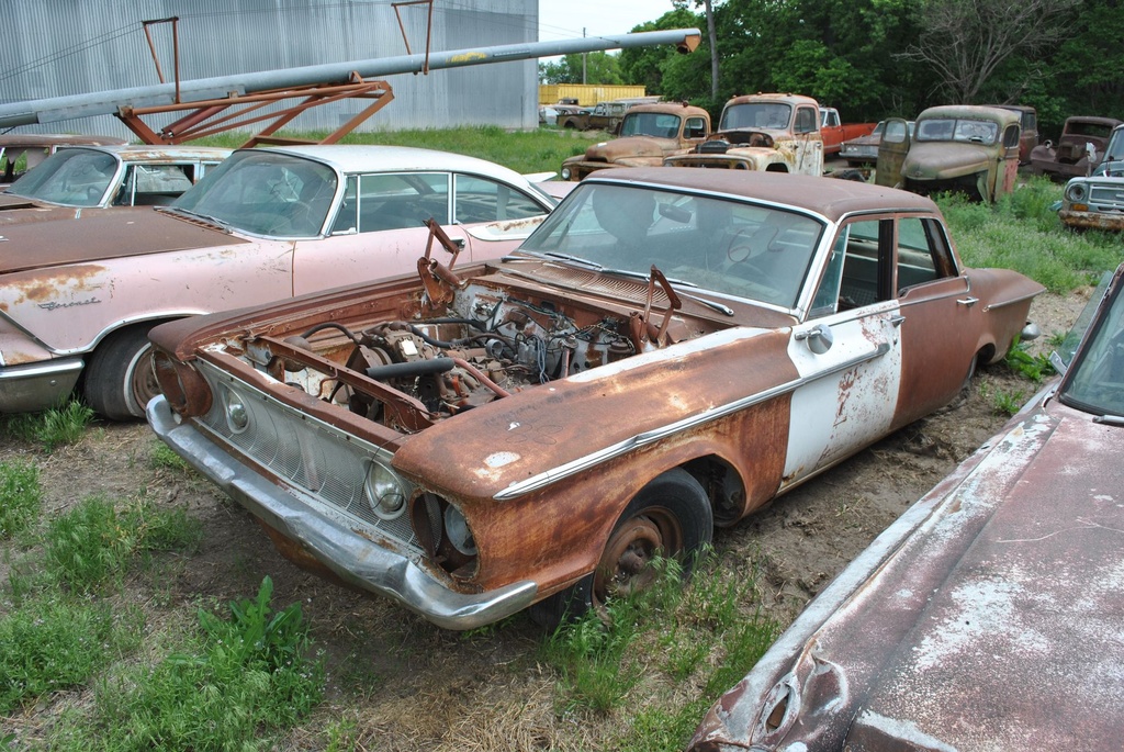 DSC_8074.JPG