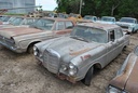 DSC_8068.JPG