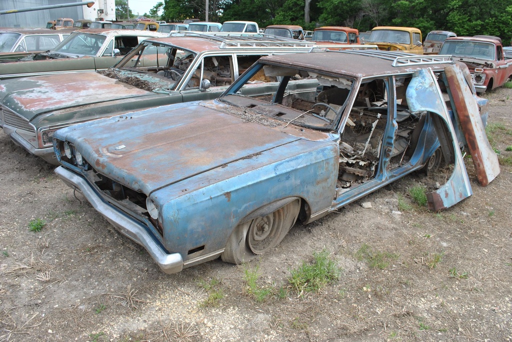 DSC_8064.JPG