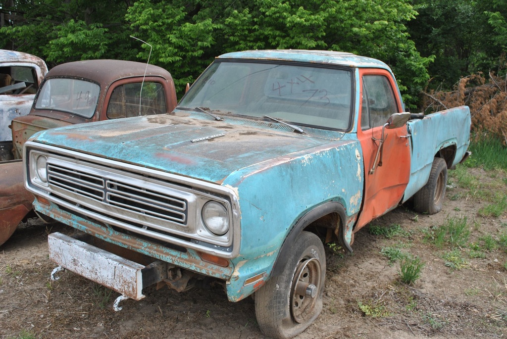 DSC_8097.JPG