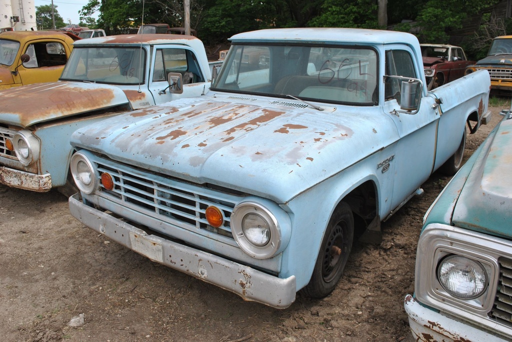 DSC_8088.JPG