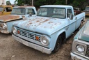 DSC_8088.JPG
