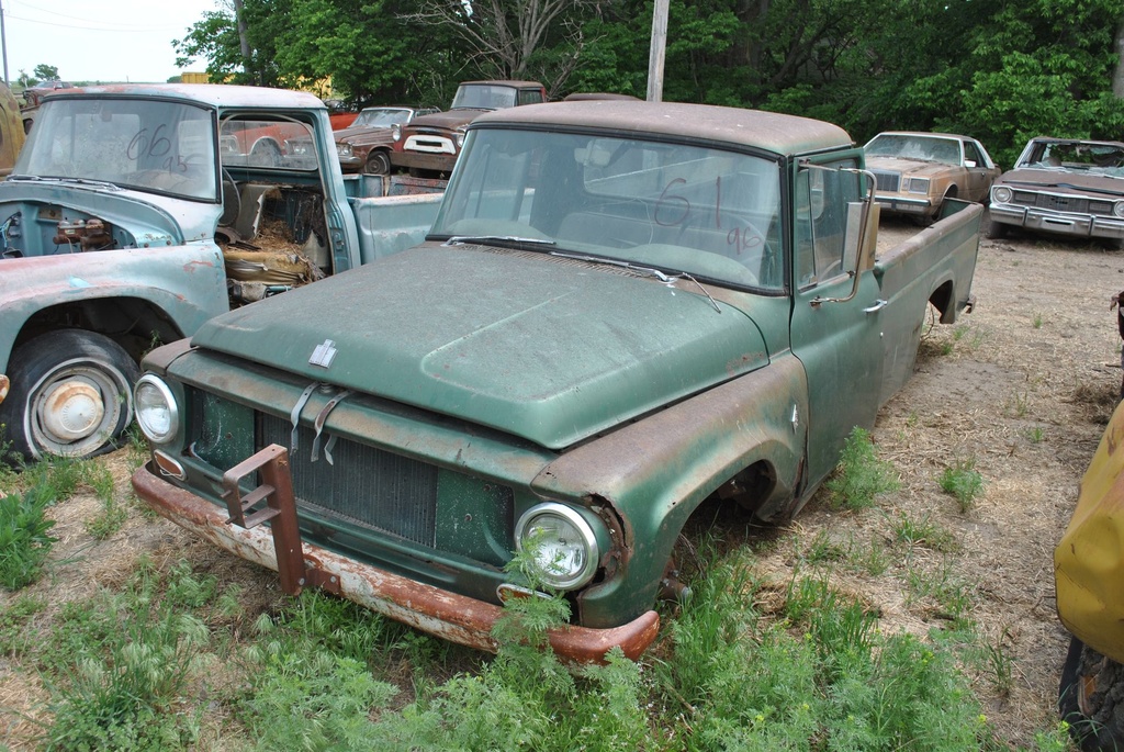 DSC_8085.JPG