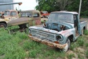 DSC_8084.JPG