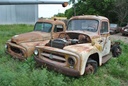 DSC_8083.JPG