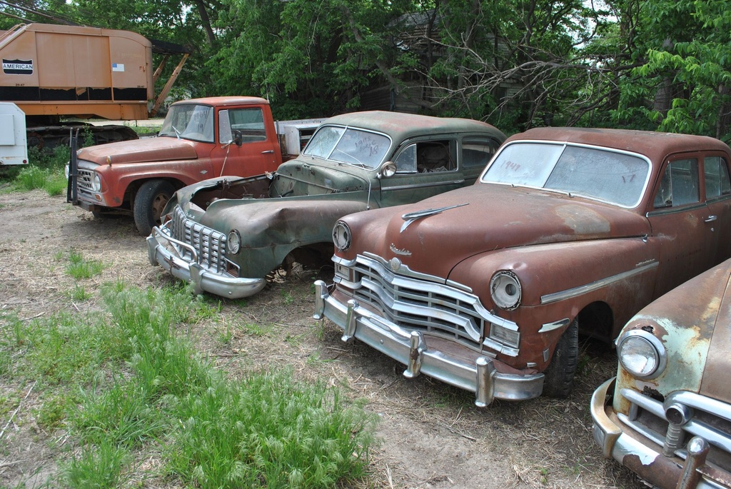 DSC_8114.JPG