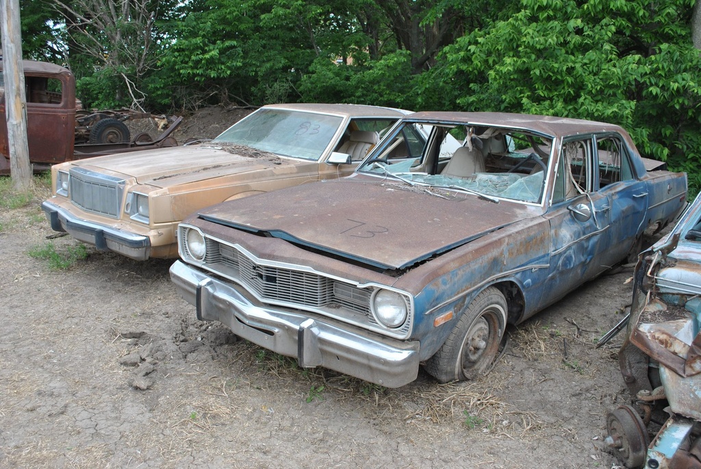 DSC_8102.JPG