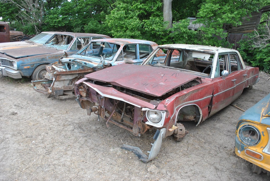 DSC_8101.JPG