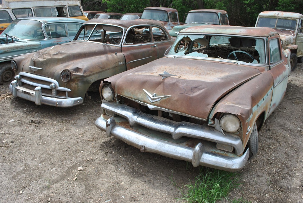 DSC_8123.JPG