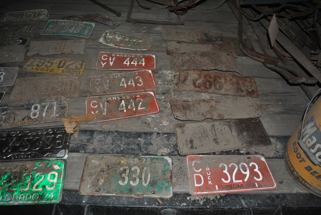 DSC_8149.JPG