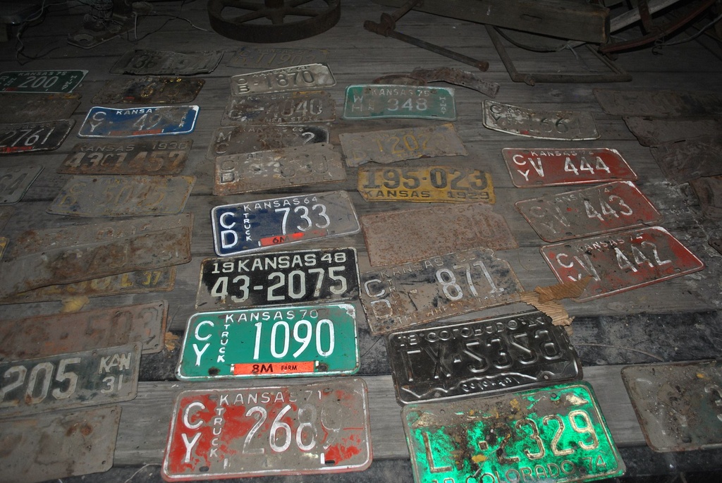 DSC_8148.JPG