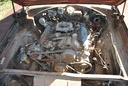 DSC_8152.JPG