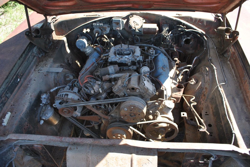 DSC_8151.JPG