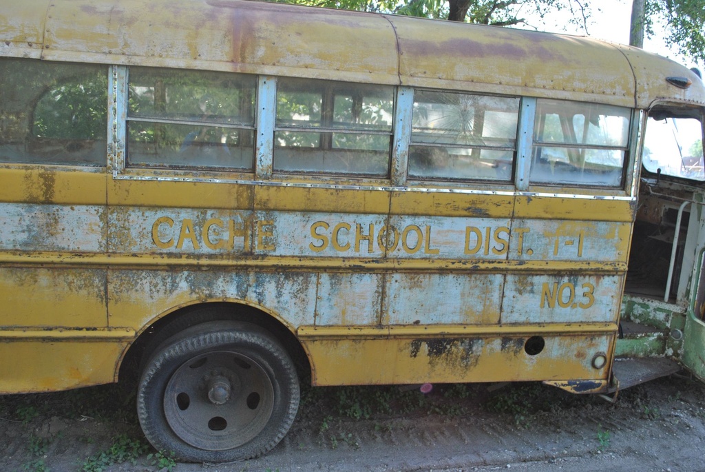 DSC_8185.JPG