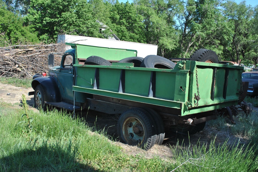 DSC_8169.JPG