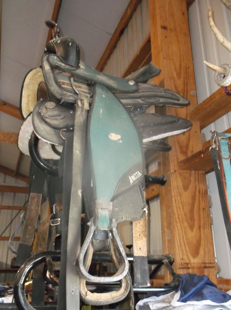 DSCF9051.JPG