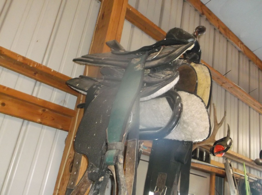 DSCF9050.JPG