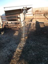 DSCF4813.JPG