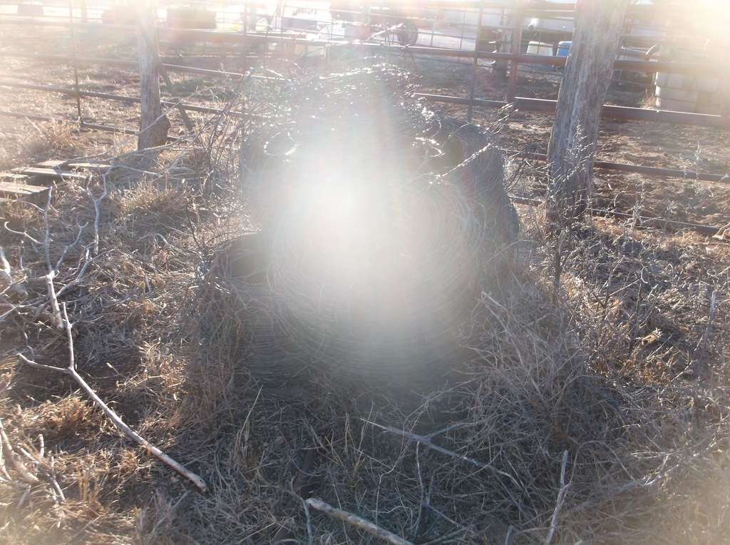 DSCF4807.JPG