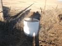 DSCF4804.JPG