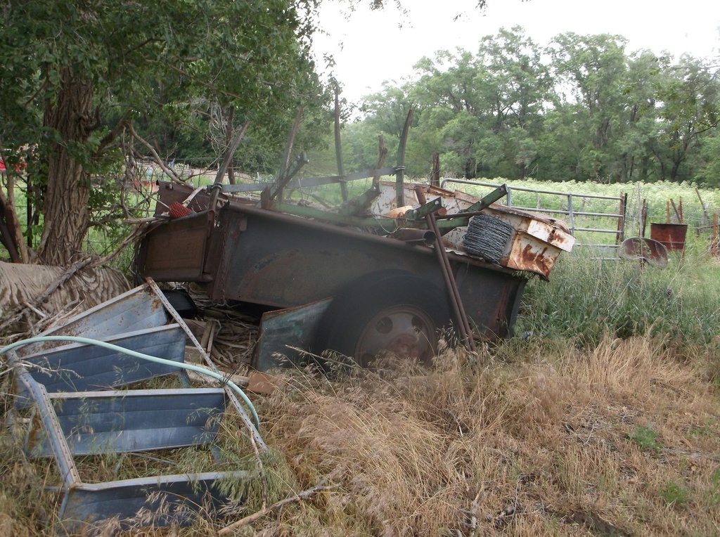 DSCF9347.JPG