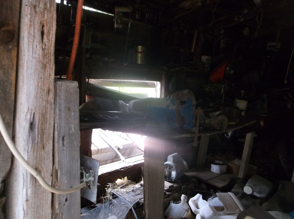 DSCF9341.JPG